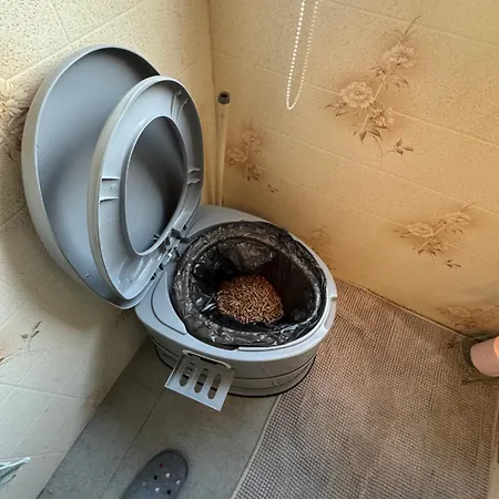 Mobilhome Prive Avec Jardin Prive Kemp *