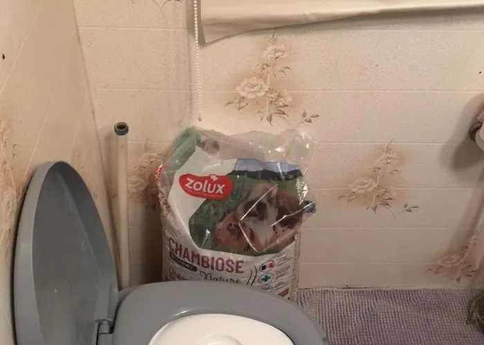 Кемпинг Mobilhomme Prive Dans Son Jus 2 Etoiles *